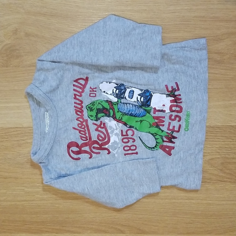 Oshkosh B'gosh dinosaur long sleeve shirt 6 months EUC